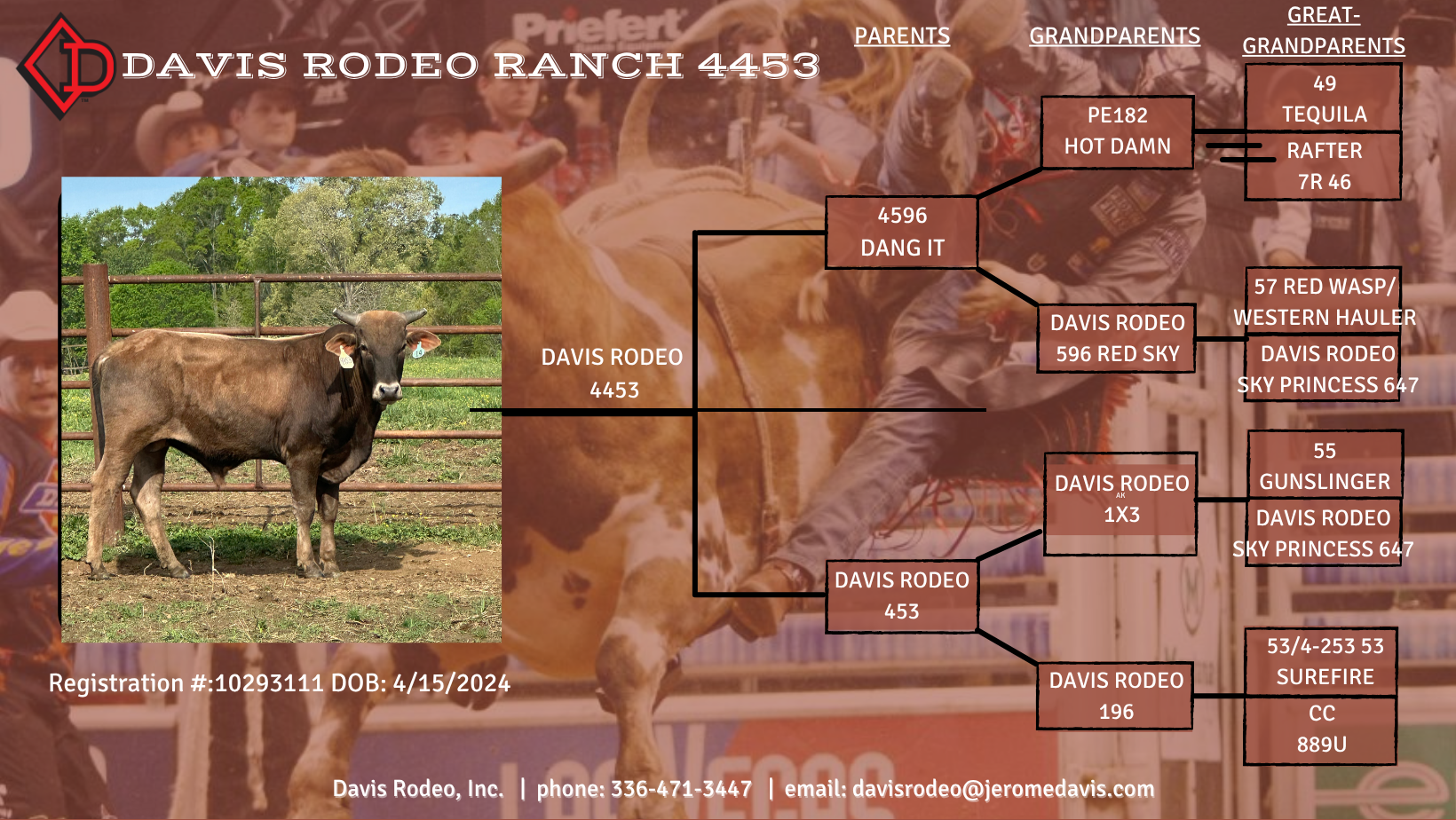Davis Rodeo 4453 | Jerome Davis