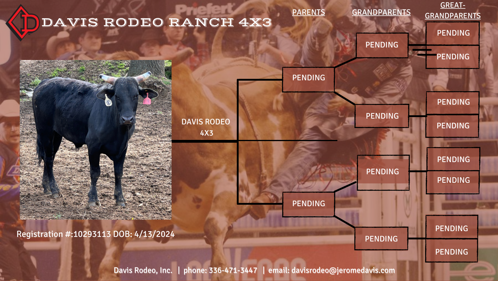 Davis Rodeo 4×3 | Jerome Davis